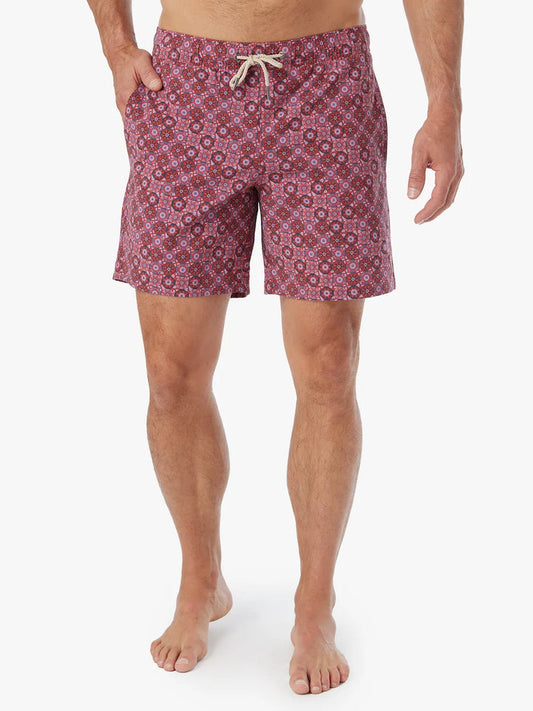 Bayberry Trunk | Coral Sand Dollars