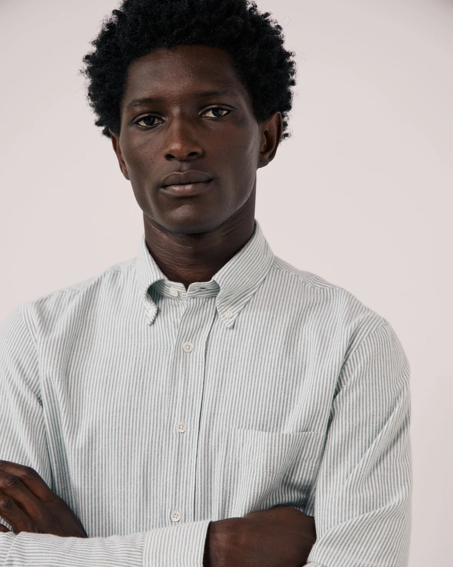 Pitt Brushed Oxford Shirt | Green Stripe